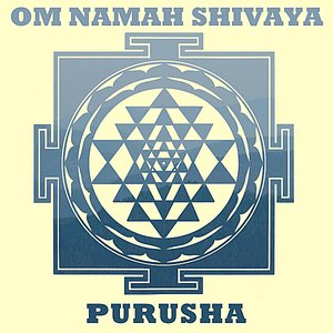 Om Namah Shivaya