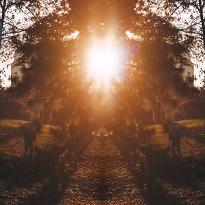 Things I Saw