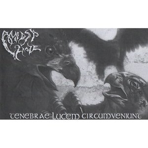 Tenebrae Lucem Circumveniunt