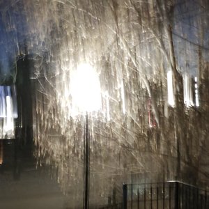 Fleeting Moments