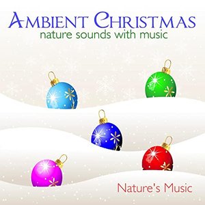 Ambient Christmas Nature Sounds with Music