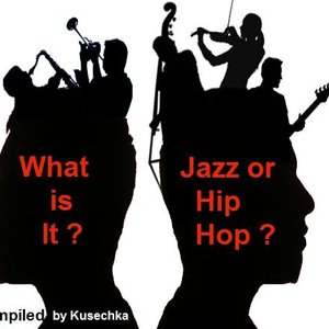 'What Is It (Jazz Or Hip-Hop)' için resim