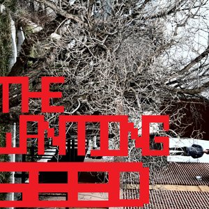 The Wanting Seed 的头像