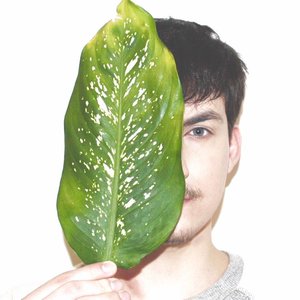 Stefanini 的头像