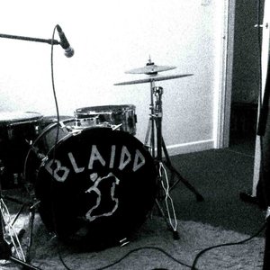 Blaidd 的头像