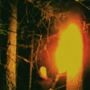 Avatar för Der Grauer Winter