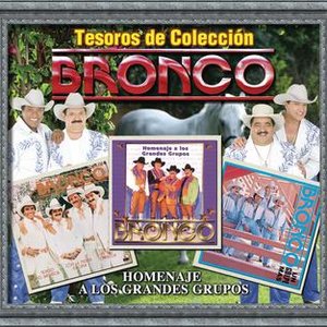 Tesoros De Colección - Bronco - Homenaje A Los Grandes Grupos