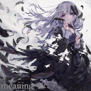 meaning