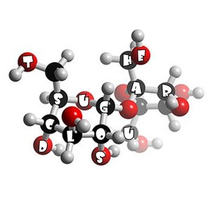 EP B