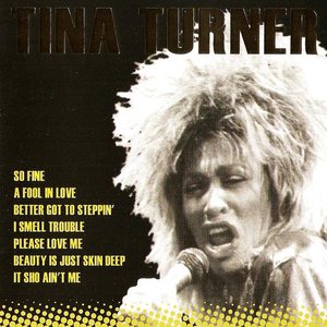Selection of Tina Turner