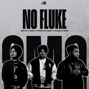 No Fluke - Single