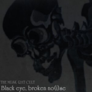 Black Eye, Broken No(i)se