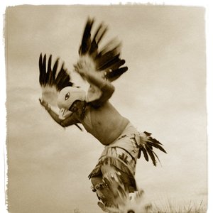 American Indian Dances 的头像