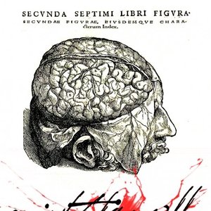 Avatar for VoightKampff