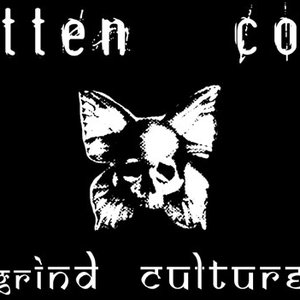 Image for 'Rotten Cold'