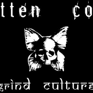 Rotten Cold 的头像