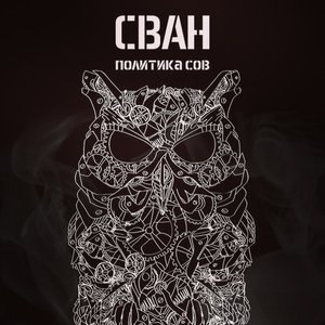 Политика сов