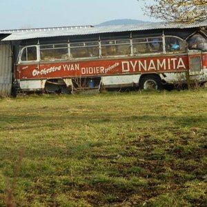 Dynamita 的头像