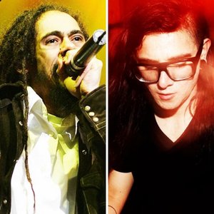 Image pour 'Skrillex & Damian Marley'