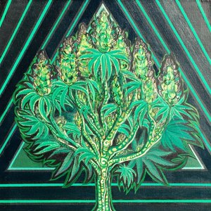 Dope & Ganja 的头像