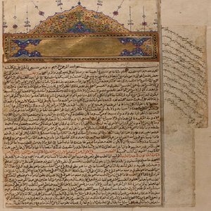 القانون في الطب
