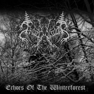 Echoes Of The Winterforest