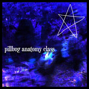 pillbug anatomy class [Explicit]