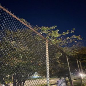 Problem - Single