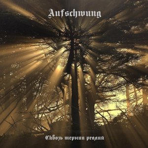 Through Thorns of Realities (Сквозь Тернии Реалий)