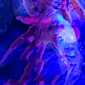 Sirena