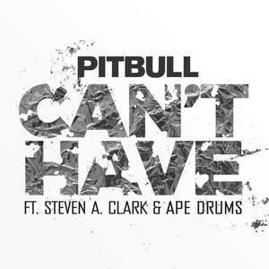 Pitbull feat. Steven A. Clark & Ape Drums - Can