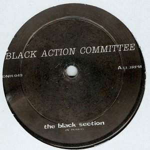 Black Action Committee