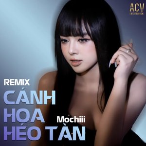 Cánh Hoa Héo Tàn (Domino Remix)