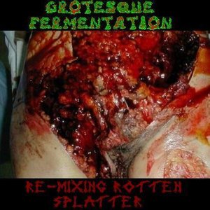 Zdjęcia dla 'Re-Mixing Rotten Splatter'