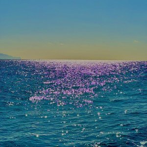 その花を摘む - Single