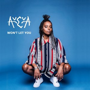 Won't Let You