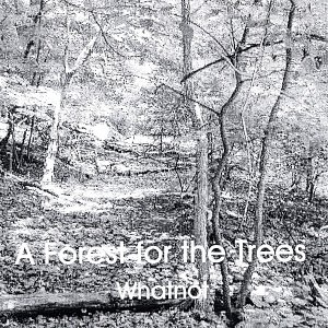 A Forest for the Trees