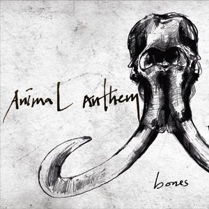 Bones