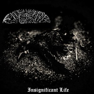 Insignificant Life