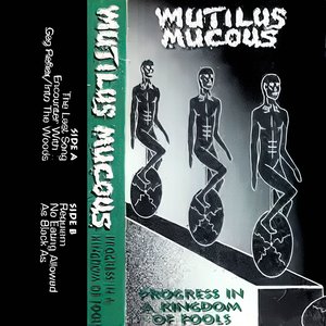 Progress In A Kingdom Of Fools