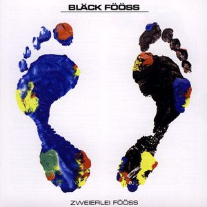 Zweierlei Fööss cover