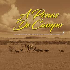 A Penas de Campo