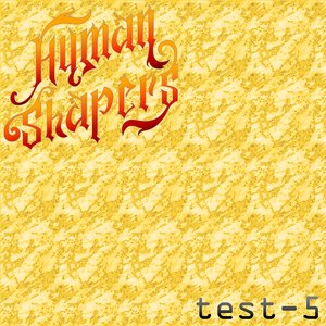 Test-5