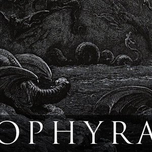 Ophyra 的头像