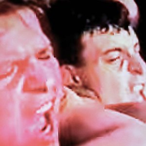 Everything Is Like Everything