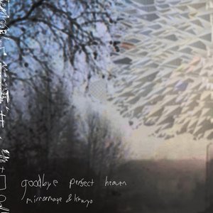 goodbye perfect heaven