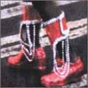 The Boyz From Brazil photo provided by Last.fm