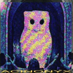 Acinonyx 的头像