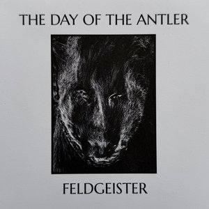Feldgeister