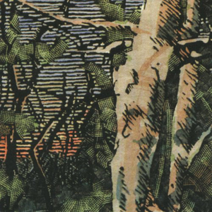 Asleep Many Years in the Wood cover